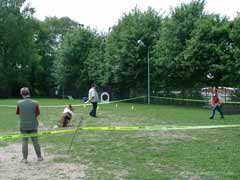 Sitz aus der Bewegung