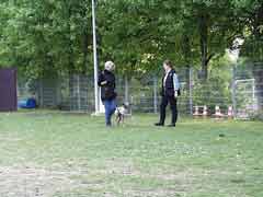 Fu&szlig;arbeit mit Ganja Ganja